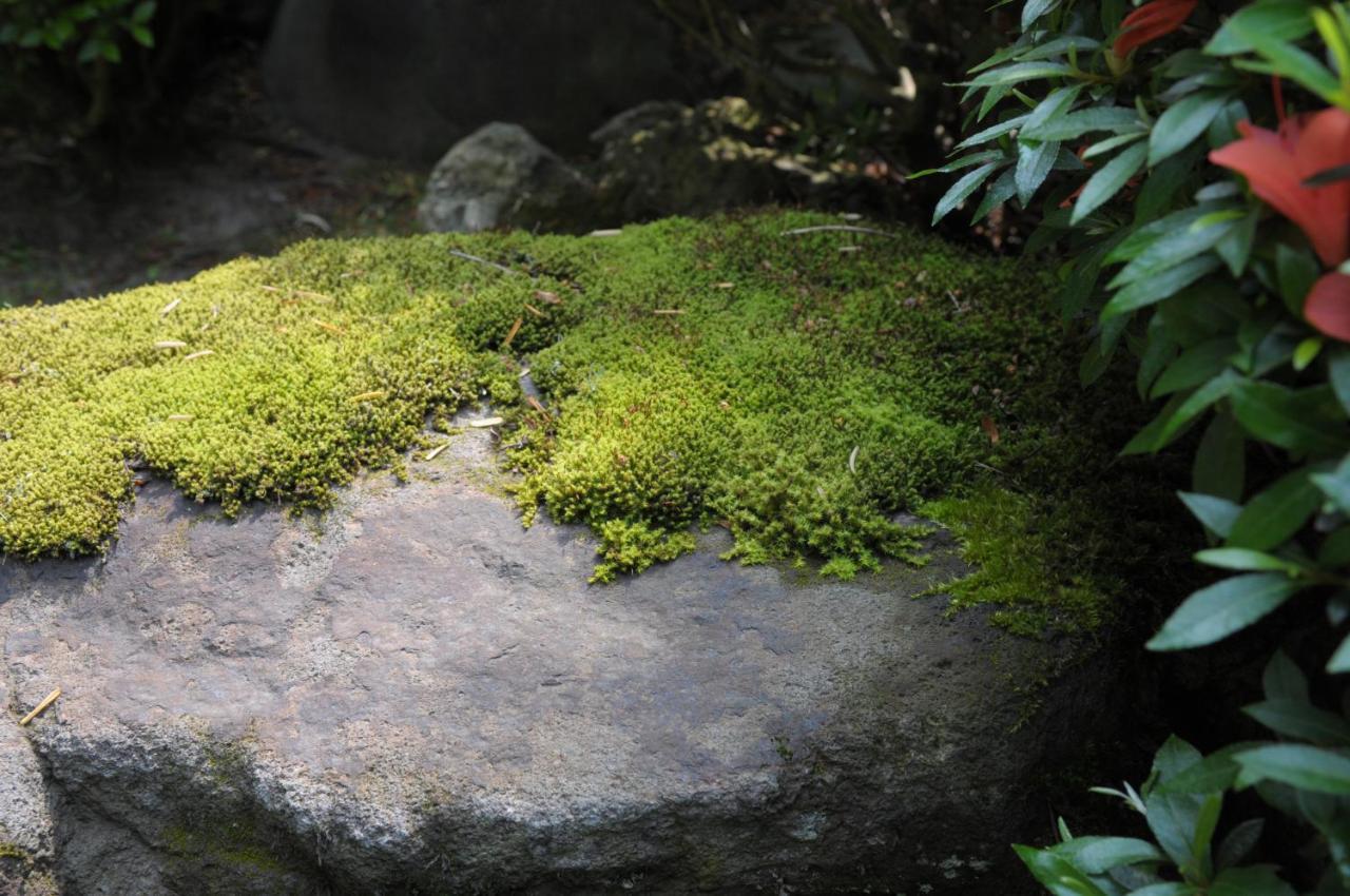 Historical Ryokan Senyukan Owani Exterior photo