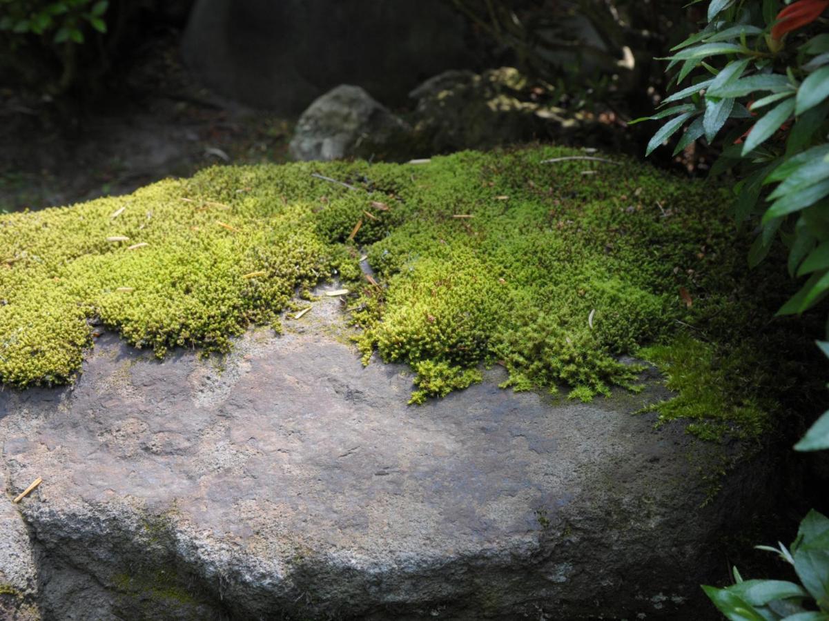 Historical Ryokan Senyukan Owani Exterior photo